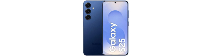 Samsung Galaxy S25